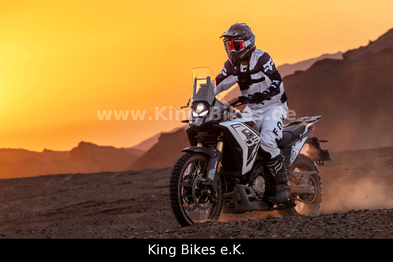 Fahrzeugabbildung VOGE 800DS RALLY/DS800X RALLY -Inkl. 3 Jahre Garantie