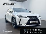 Lexus UX 250h Style Edition *Bi-LED*GJR*CAM*SHZ*ACC*PD - Lexus UX in Duisburg