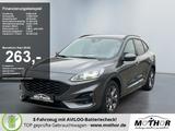 Ford Kuga ST-Line X 2.5 FHEV Automatik Sitzheizung