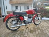 Gilera 150 Sport - GILERA MOTORRAD