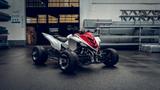Yamaha YFM700R Supermoto - YAMAHA SUPERMOTO