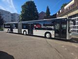 MAN Lions City G (A23) Gelenkbus 243.000 km - MAN Lion
