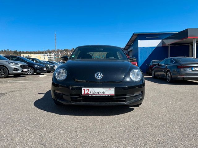 VW Beetle