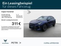 Cupra Terramar - Vorschau Bild 2