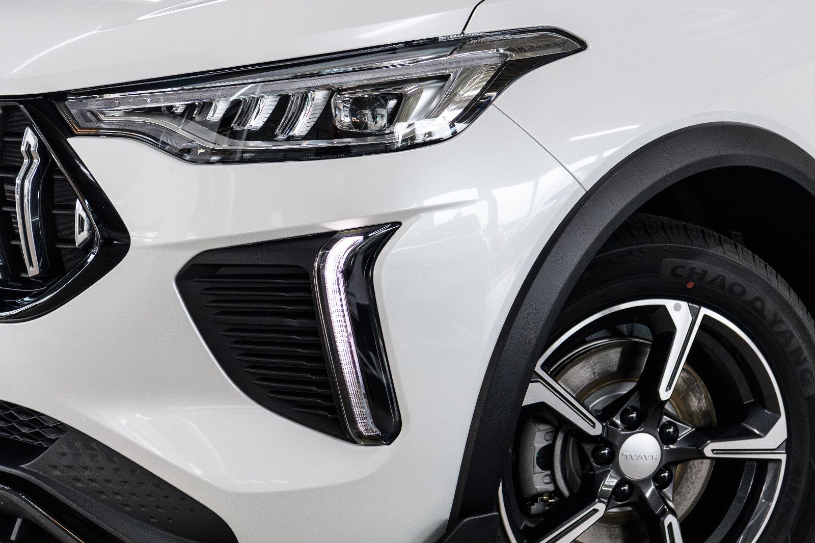 Fahrzeugabbildung GWM HAVAL Jolion Pro/Panorama/LED/LM/360