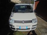 Fiat Panda 1.2 Classic - Fiat Panda Classic