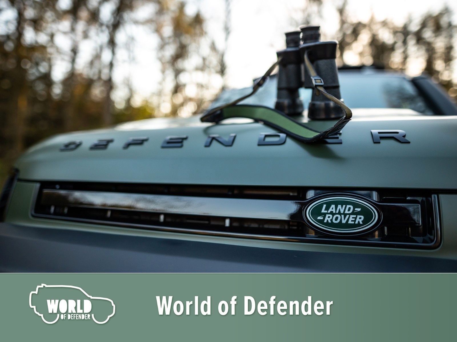 Fahrzeugabbildung Land Rover Defender 90 D250 Hunter Edition