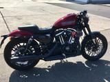 Harley-Davidson XL 1200 CX Roadster - HARLEY-DAVIDSON ROADSTER