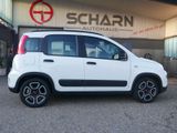 Fiat Panda City Life,1-Hand,Klima,Gatantie,TOP !! - Fiat Panda aus 2021