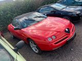 Alfa Romeo Spider - Alfa Romeo aus 1996