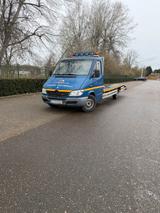 Mercedes-Benz Mercedes Sprinter 313cdi - Mercedes-Benz Sprinter aus 2004: 313