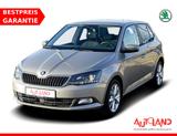 Skoda Fabia 1.0 MPI Clever Sitzheizung PDC Klimaaut. - Skoda Fabia: Mpi