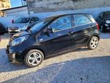 Kia KIA - Picanto - 1.0 12V 5p. City - gebrauchte Kia Picanto aus dem Jahr 2011