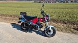 Honda Dax 125 - 2023 Kult-Bike in Top Zustand JB04  - HONDA MOFA DAX