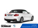 BMW M240i Cabrio Innovationsp. + GARANTIE - BMW: Garantie