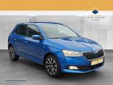 Skoda Fabia 1.0 TSI Drive ACC*DynLicht*Facelift*LM - Skoda Fabia Gebrauchtwagen in Leipzig