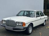 Mercedes-Benz 250 W123 H Zulassung im Super Zustand - Mercedes-Benz: S123