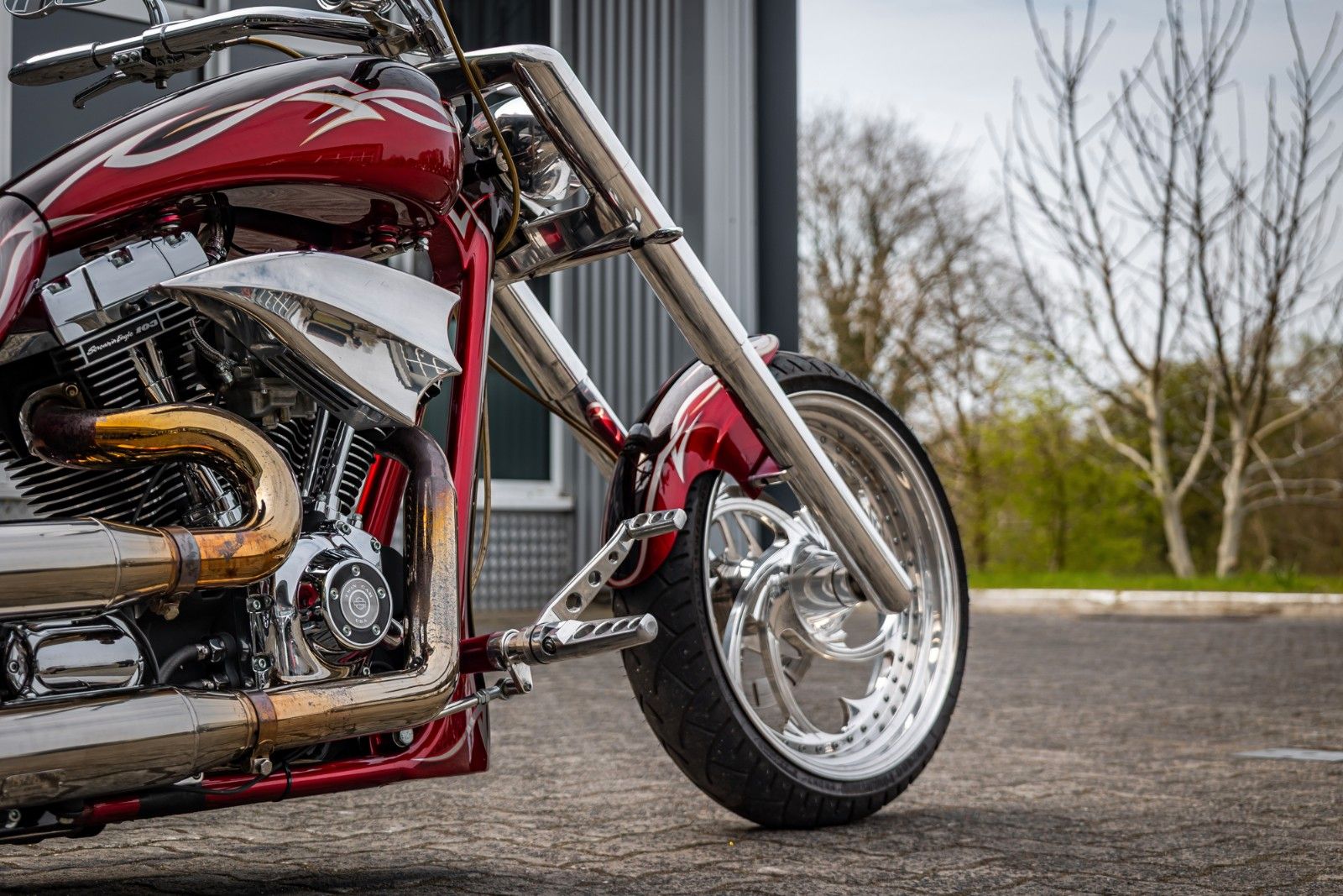 Fahrzeugabbildung Harley-Davidson THUNDERBIKE RED SCORPION FREESTYLYE 103