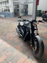 Harley-Davidson Night Rod Special - Offers matching your search criteria
