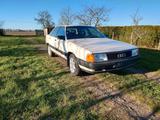 Audi 100 Typ 44 C3 Oldtimer 5 Zylinder 2,0... - Audi 100: 44