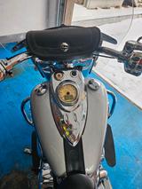 Indian Chief Vintage - INDIAN CHIEF VINTAGE