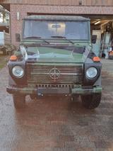 Mercedes-Benz Mercedes 250 GD Wolf - Mercedes-Benz G-Klasse: Wolf