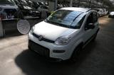 Fiat Panda City Life*Klima*PDC*SITZHEIZUNG*8 FACH BRE - gebrauchte Fiat Panda aus dem Jahr 2021