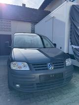Volkswagen Caddy Life 1.9 TDI 77kW 4MOTION 7-Sitzer - - Volkswagen Caddy mit Diesel-Antrieb: 1.9