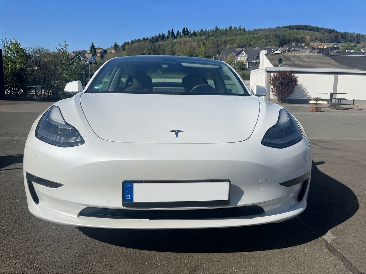 TESLA Tesla M3 LR AWD - Inkl. Winterräder