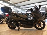 Honda Forza125 mit ABS incl. Anlieferung