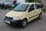 Fiat Panda 1.1 8V Active *5-TÜRER *SAUBER - gebrauchte Fiat Panda aus dem Jahr 2009