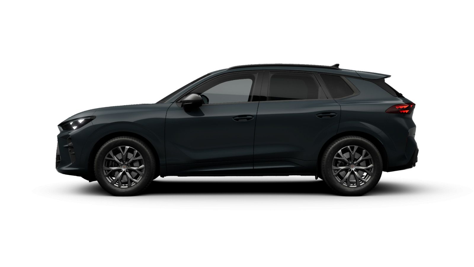 Cupra Terramar - Bild 6