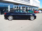 BMW 218i Cabrio Advantage * Navi * LED * - BMW: Roadster
