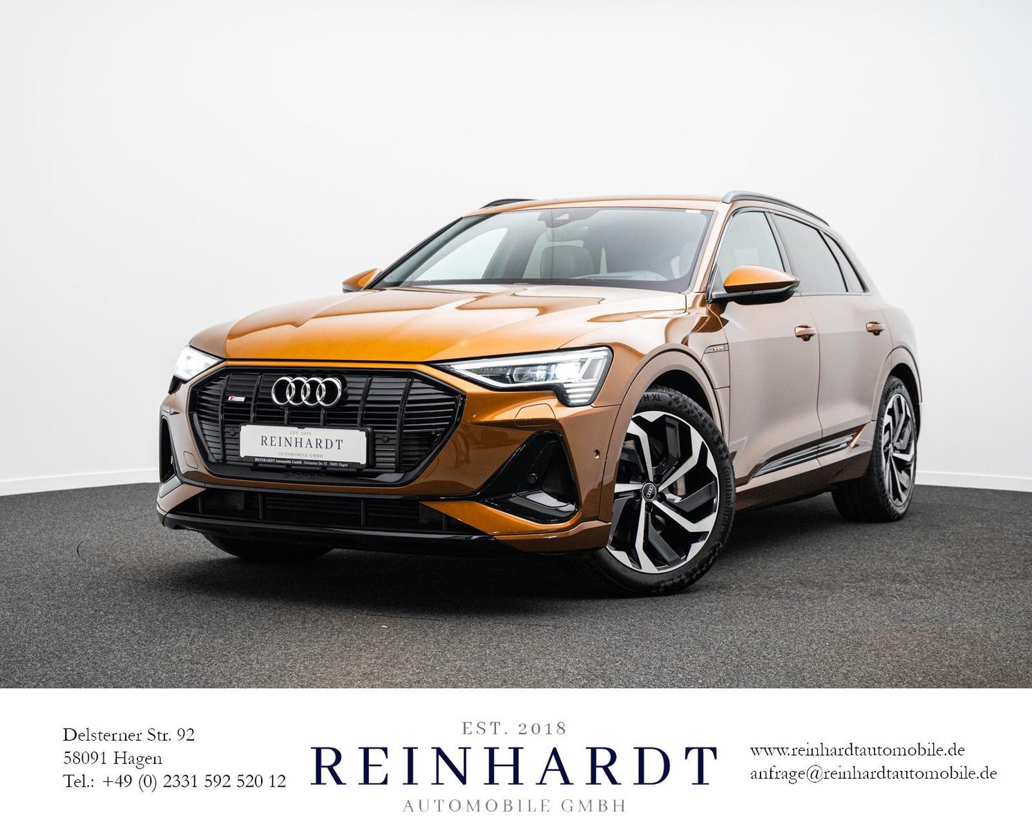 Audi e-tron E-TRON 55 S LINE MATRIX/ACC/HuD/PANO/B&O/KAMERA