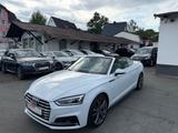Audi A5 Cabriolet quattro sport - Audi A5: Cabrio