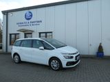 Citroën C4 SpaceTourer,1Hd,Scheckh. Hu.07.2026 - Citroën C4 SpaceTourer aus 2019