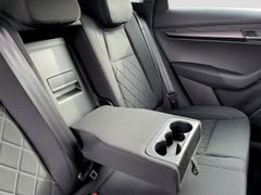 SKODA Karoq SPORTLINE Trittbretter STANDHZ Columbus 5J