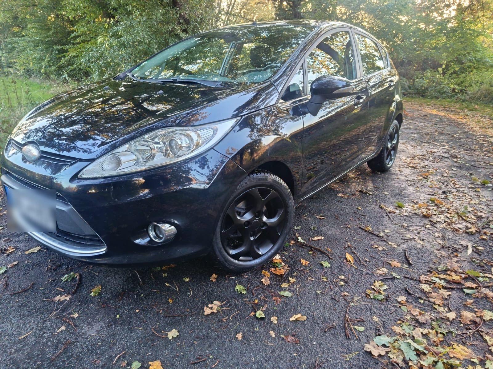 Ford Fiesta 2010 — photo 9