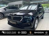 Skoda Karoq 1.5 TSI DSG Selection Navi Kamera Matrix