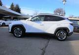 Hyundai TUCSON Trend 1.6 T-GDI Krell Soundsystem - weiße Hyundai TUCSON