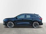 Ford Kuga ST-Line X Hybrid 360 Grad View Panoramadach - Ford Kuga: Panoramadach