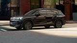 Volkswagen Tiguan 1.5 TSI Goal DSG Navi AHK RFK IQ.Light LM - VW Tiguan Gebrauchtwagen in Osnabrück