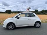 Fiat 500C 1.2 8V gepflegt - wenig km  - Fiat in Bielefeld