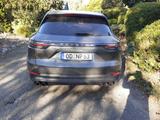 Porsche Cayenne Head Up Standheizung Panorama AHK - Porsche Cayenne aus 2020