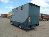 MAN 10 .150 + 2-3 HORSES + MANUAL - Angebote