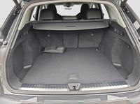 Audi Q5 - Vorschau Bild 14