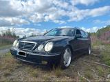 Mercedes-Benz Mercedes W210 E430 4-Matic / TÜV Neu evtl ... - Mercedes-Benz: Kombi, W210