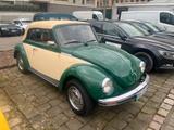 Volkswagen Käfer - Volkswagen Käfer in Dresden