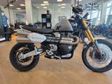 Triumph Scrambler 1200 XE, sofort verfügbar - TRIUMPH SCRAMBLER
