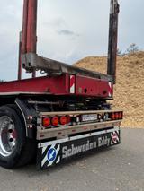 Doll Logo 21 - Angebote